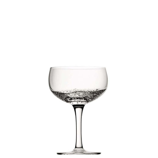 Utopia Botanist Coupe Glass 5.5oz 16cl Pack of 6